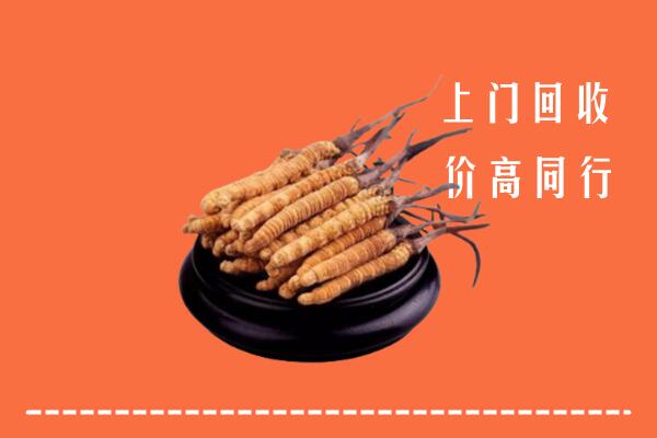 高价求购：通化回收散虫草