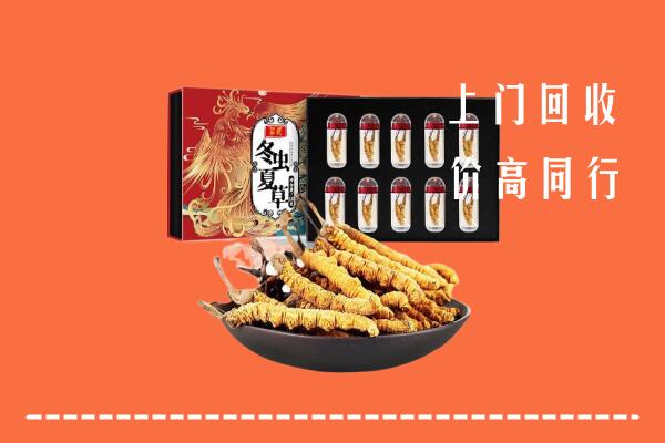 通化回收虫草